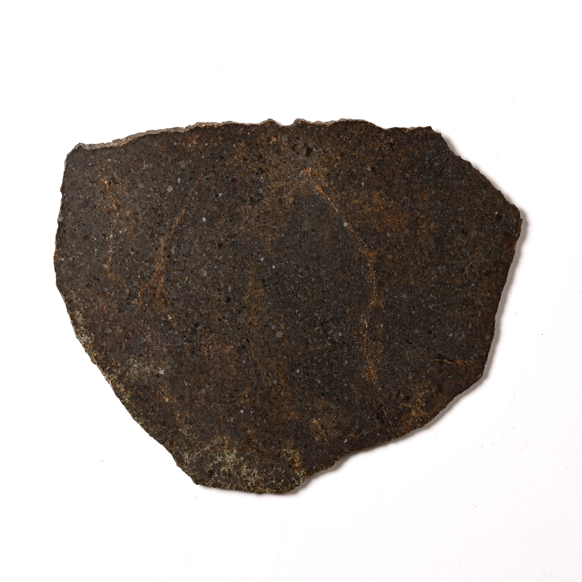 Natural History - Brachinite NWA 6349 Meteorite Slice